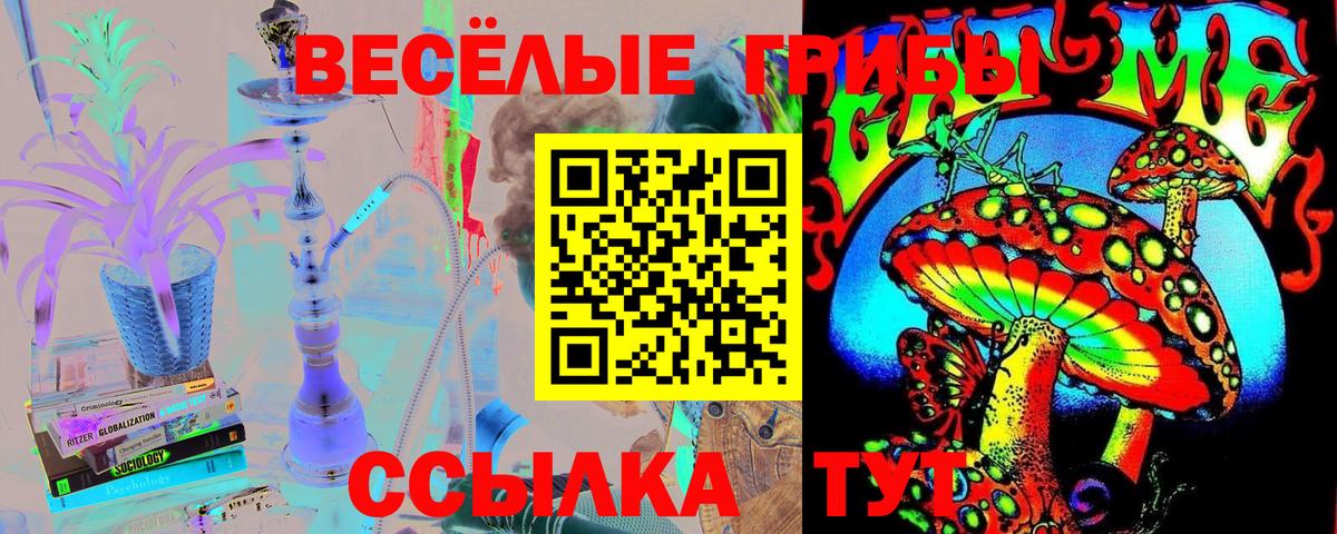 Можайск  Псилоцибиновые грибы GOLDEN TEACHER  Вход с VPN 